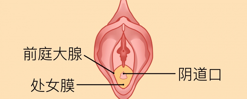 处女膜修复的注意事项有什么}