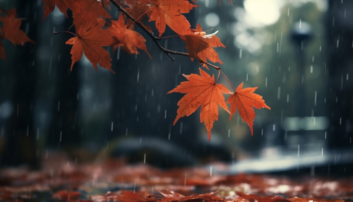 全国未来十天天气预报：中东部有降温降水天气