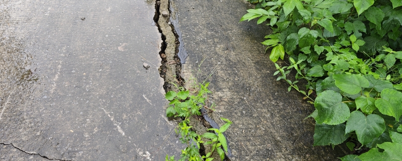 地裂缝应急处置有哪些 地裂缝怎么处理