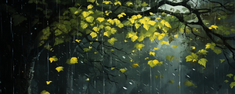 回南天和梅雨天的区别 回南天和梅雨天怎么应对