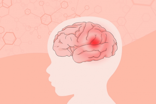 白頭翁可以治療腦炎嗎