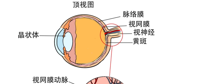 如何治療視神經(jīng)炎}