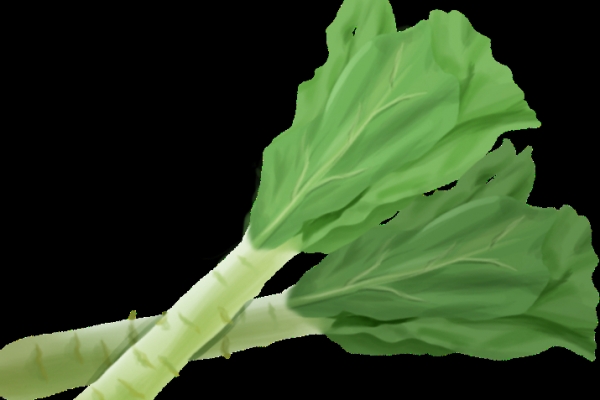萵筍怎么做好吃
