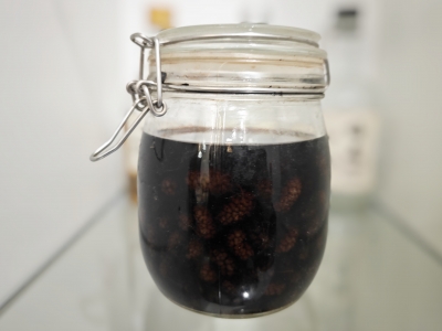 桑葚酒的制作方法是什么