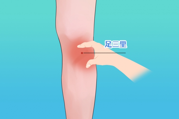 湿气重拔罐在哪个部位