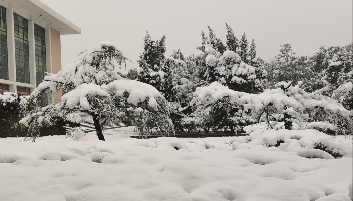 山西未来三天多雨雪天气出没 中南部等地有小雪或雨夹雪