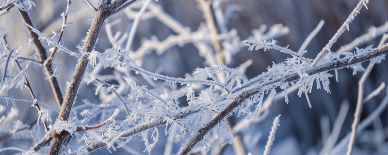 山东未来三天天气预报 新一轮雨雪天气到