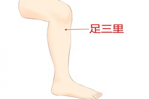 濕氣重三伏貼貼哪里