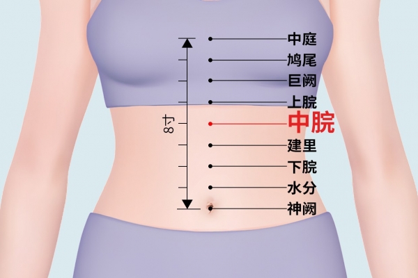 中脘的准确位置在哪