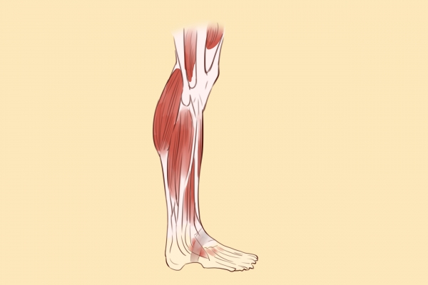 怎樣瘦小腿最快最有效的方法