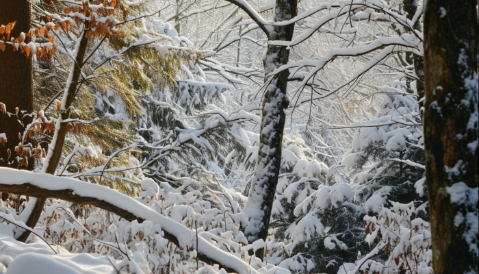 華北黃淮等地降雪將結(jié)束 南方陰雨天氣頻繁