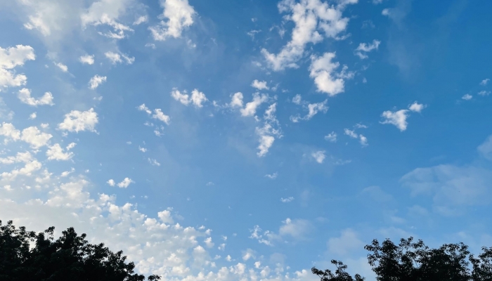 湖北未来三天阳光在线 最高气温都将突破20℃