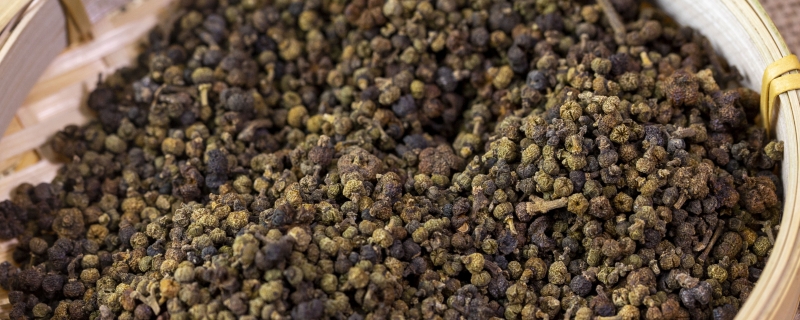 吳茱萸可以代替山茱萸嗎