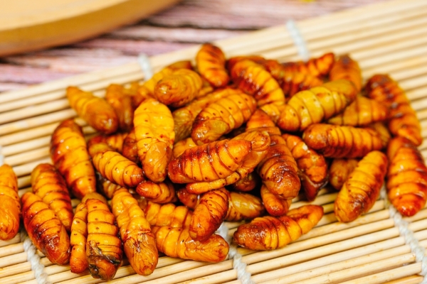 蠶蛹的營養(yǎng)價值與功效