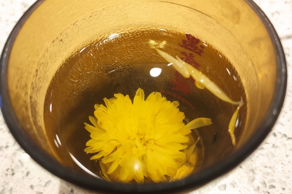 菊花茶怎么泡才正確