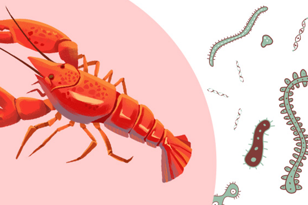 吃小龙虾会有寄生虫吗