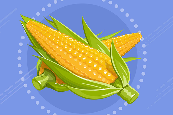 鲜玉米的食用方式和注意事项