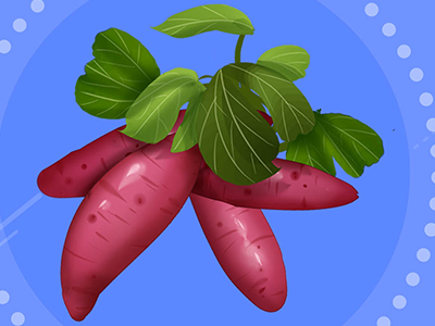 南瓜与红薯的区别 南瓜的营养价值