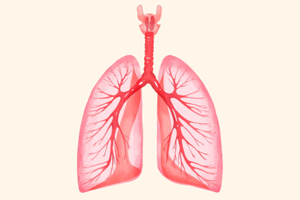肺结核的潜伏期是多久