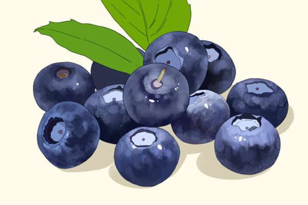 蓝莓不能和什么食物一起吃