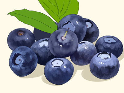 蓝莓和什么不能一起吃 蓝莓的营养价值和作用