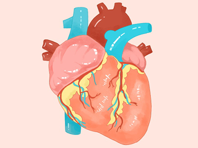 什么习惯对心脏有害？