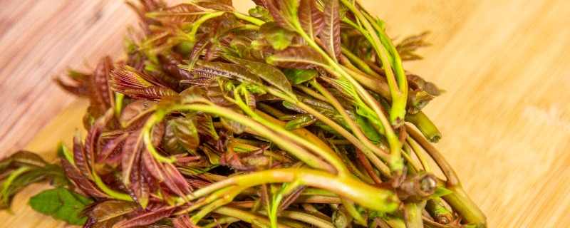雞毛菜能夠幫助潤澤皮膚嗎}
