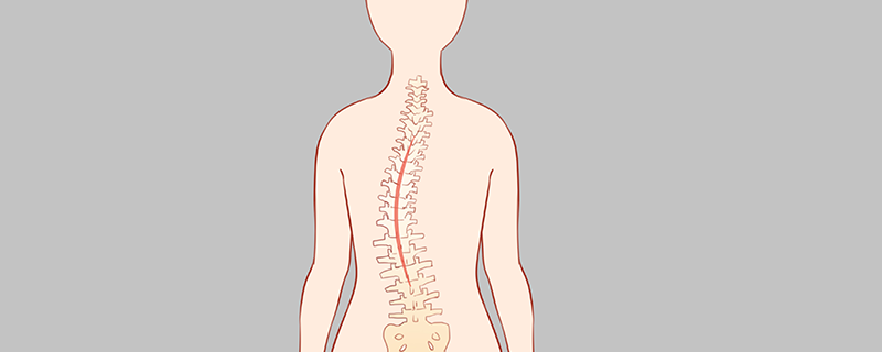 健身能改善脊柱側(cè)彎嗎}