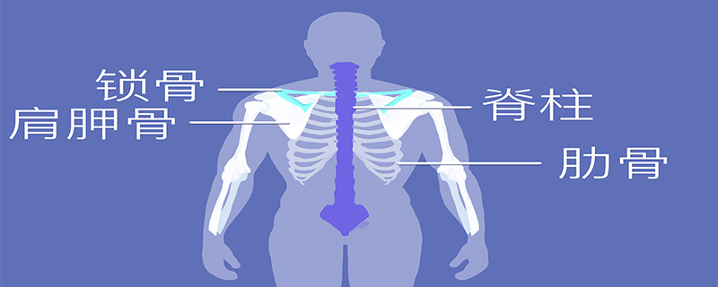 强直性脊柱炎怎么才能治好