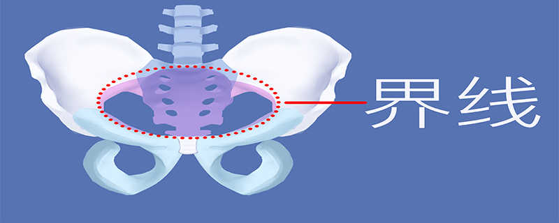 骨盆痛是什么原因}