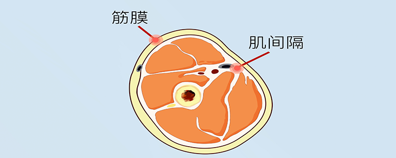 筋膜提升多少錢}