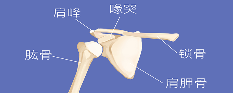 左鎖骨肩峰端骨折怎么回事，怎么辦