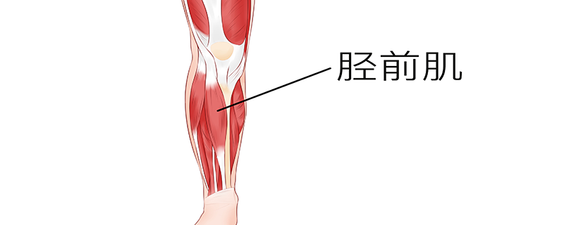 大小腿肌肉酸痛是怎么回事