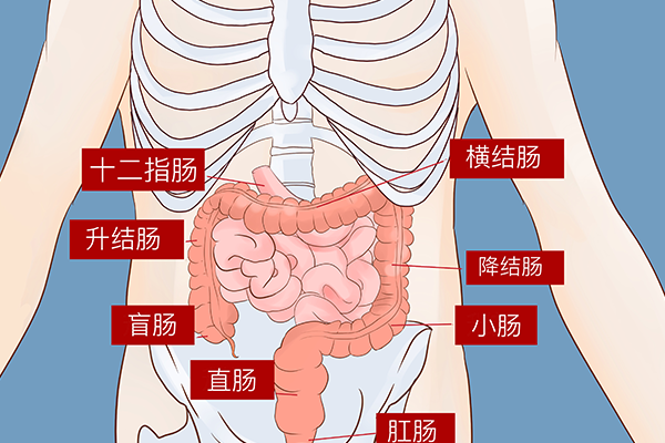 肠癌的“目标锁定”：这些人群请注意！