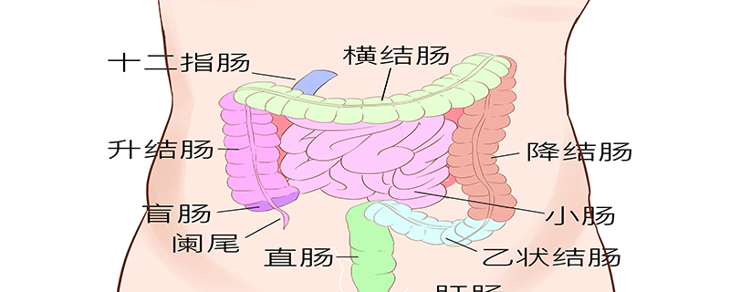 十二指肠肿瘤严重吗}