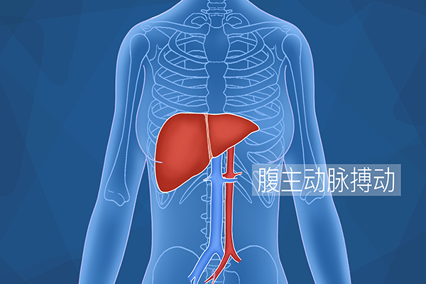 大動脈在哪個位置