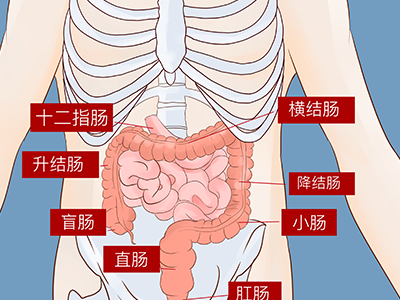 十二指肠溃疡的症状 怎么预防十二指肠溃疡