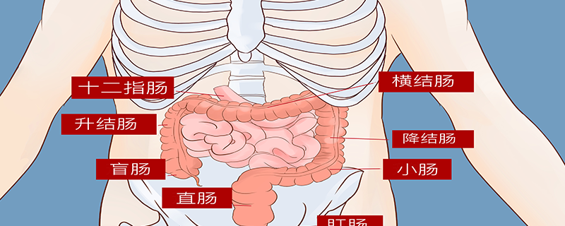 大便有蛔蟲是怎么回事}