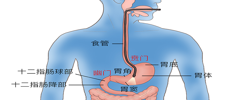 食道癌是怎么引起的}