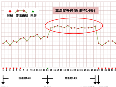 排卵不好是什么原因？排卵需注意