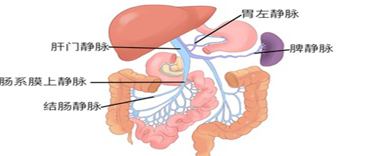 直腸隆起是怎么回事}