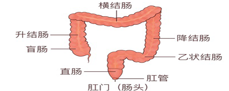 结肠癌的早期症状是什么}