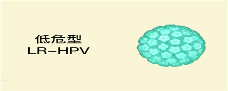 HPV是支原体衣原体感染吗}