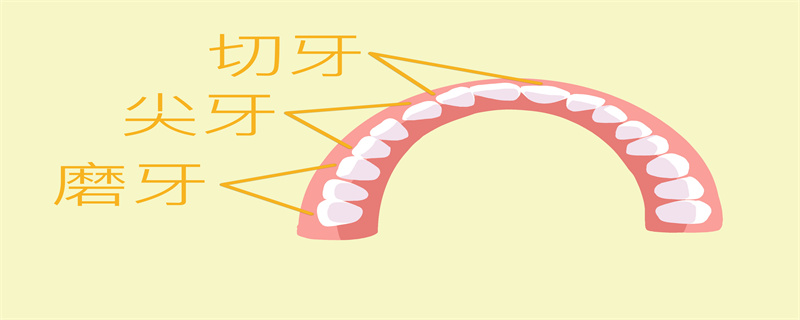 為什么會(huì)磨牙