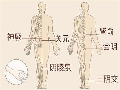 点穴减肥 轻轻松松拥有小蛮腰