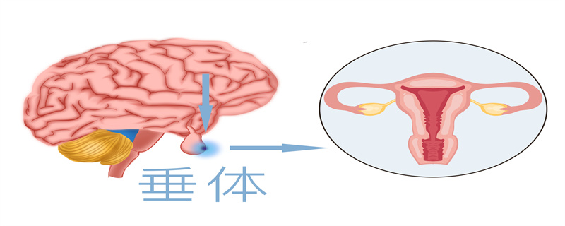 腦垂體瘤有生命危險(xiǎn)嗎}