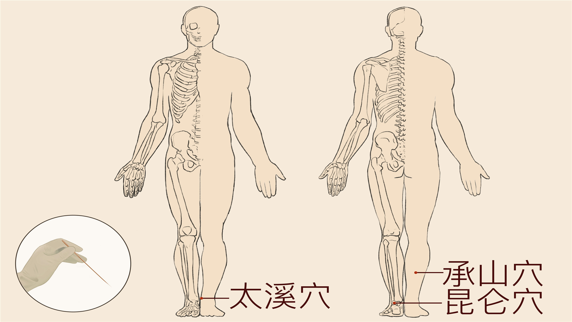 太溪的位置作用和功效