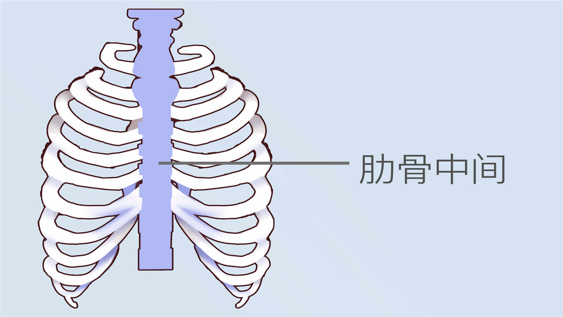 肋骨骨折2根算轻伤吗}