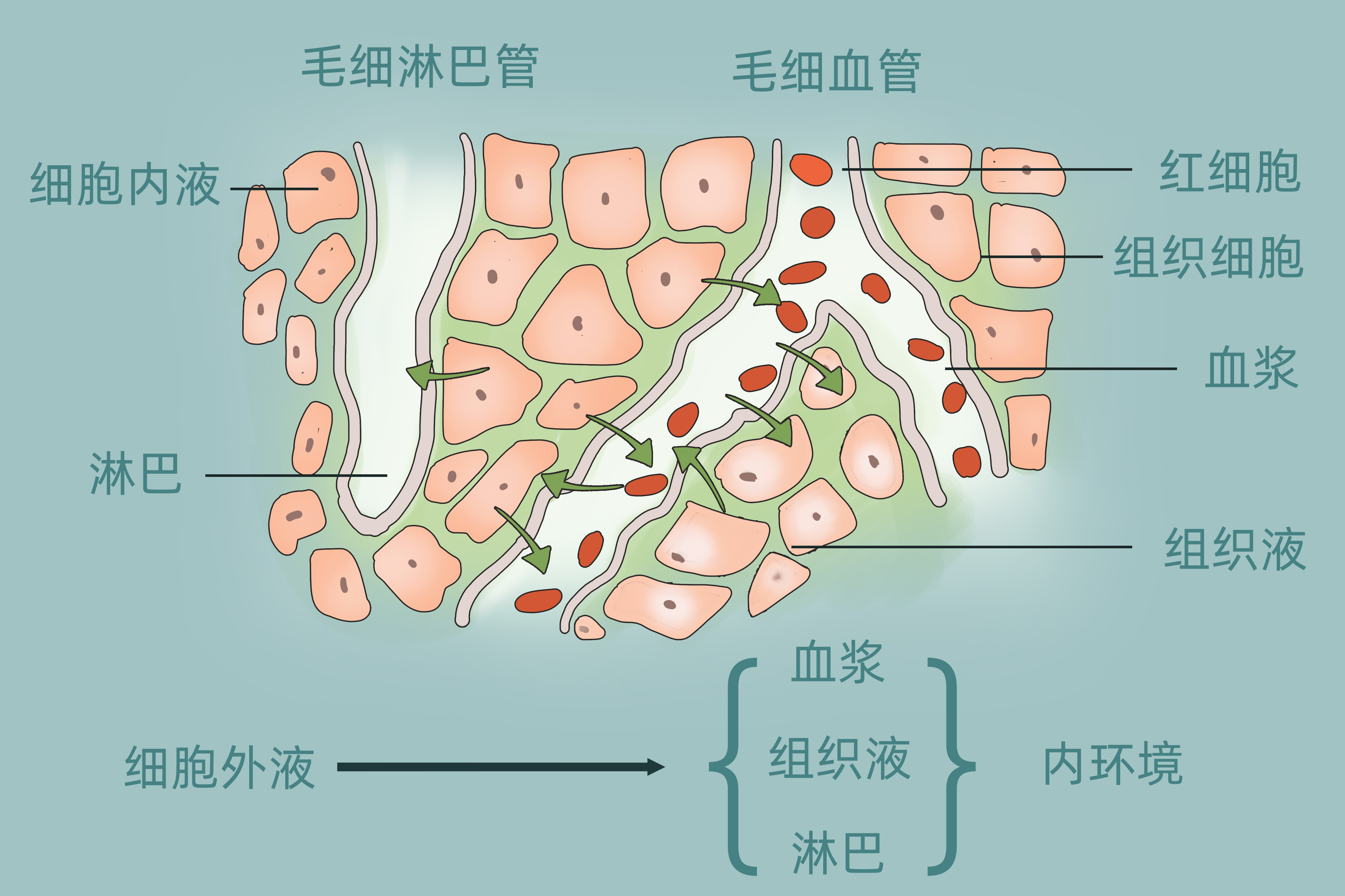 TCT可見(jiàn)挖空細(xì)胞嚴(yán)重嗎}