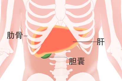 胆囊炎会不会导致水肿}